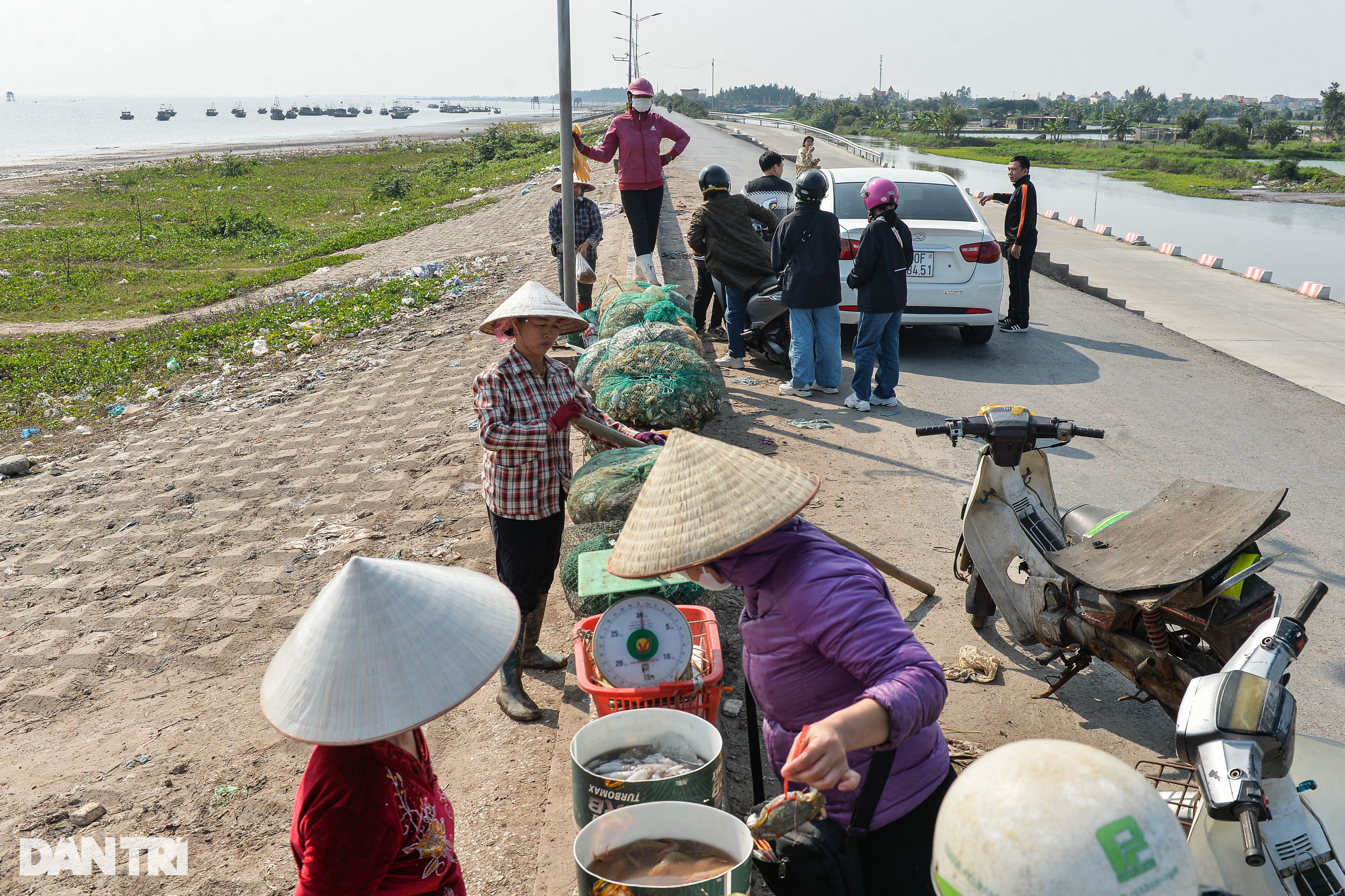 Xông biển mùng 1 Tết, ngư dân kiếm tiền triệu - 4