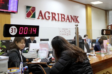 Quyết liệt triển khai Đề án tái cơ cấu, Agribank đang vượt lên chính mình