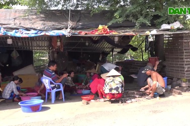 Chợ chuột lớn nhất miền Tây gom 4-5 tấn mỗi ngày vẫn không đủ bán