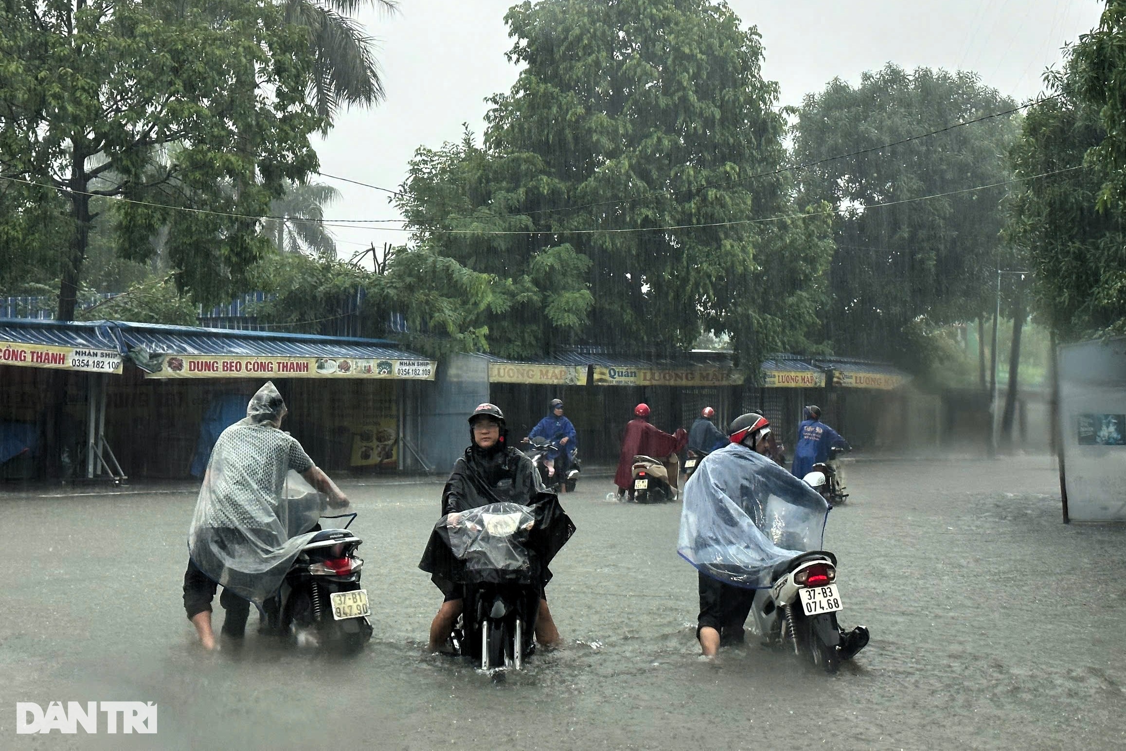 View - Thành phố Vinh "bốn bề là nước" | Báo Dân trí