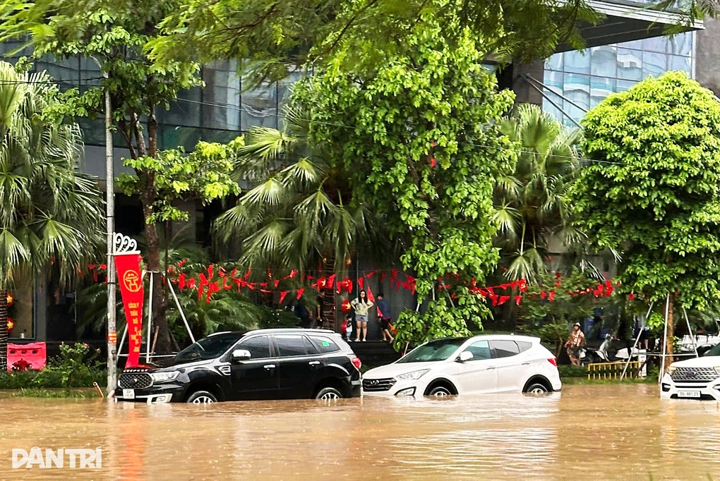 Ô tô ngập nước, bị cây đổ đè sau mưa bão: Có được yêu cầu bảo hiểm hỗ trợ? Ô tô ngập nước, bị cây đổ đè sau mưa bão: Có được yêu cầu bảo hiểm hỗ trợ?