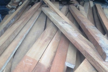 Phát hiện lượng lớn gỗ lậu tại xưởng cưa của em trai chủ tịch xã