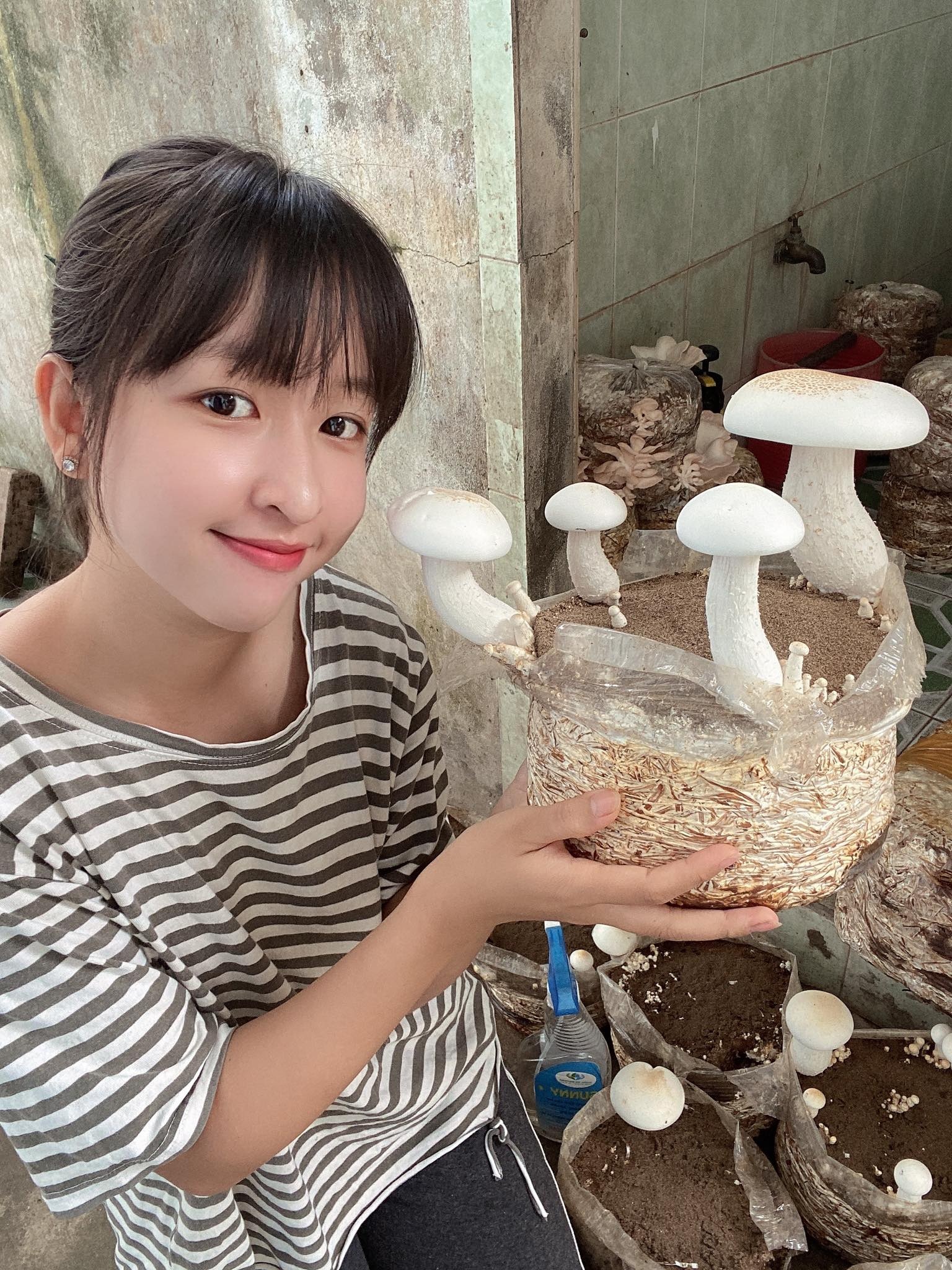 Cô gái Đồng Tháp bỏ phố về quê trồng nấm, thu chục triệu đồng mỗi tháng - 1 Cô gái Đồng Tháp bỏ phố về quê trồng nấm, thu chục triệu đồng mỗi tháng - 1