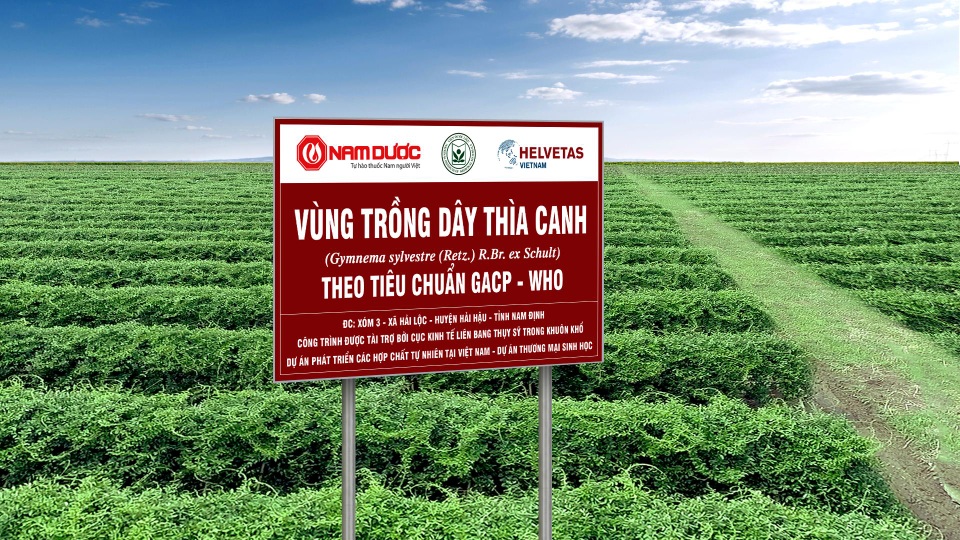 4 tiêu chí lựa chọn sản phẩm hỗ trợ tiểu đường phù hợp, an toàn và hiệu quả - 1 4 tiêu chí lựa chọn sản phẩm hỗ trợ tiểu đường phù hợp, an toàn và hiệu quả - 1