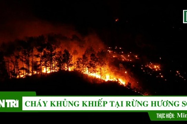 Rừng lại cháy ngút đỉnh ở Hương Sơn- Hà Tĩnh