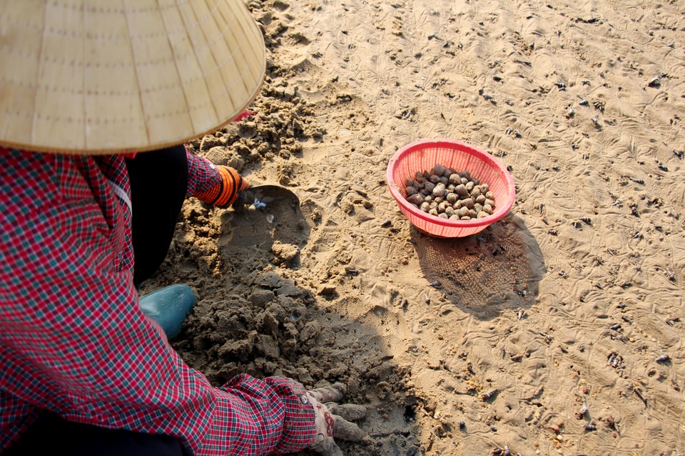 Nhọc nhằn nghề bới cát tìm con sò - 2 Nhọc nhằn nghề bới cát tìm con sò - 2