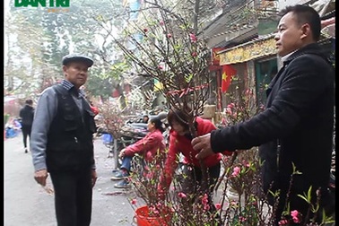 Thưởng lãm chợ hoa cổ nhất Hà Nội