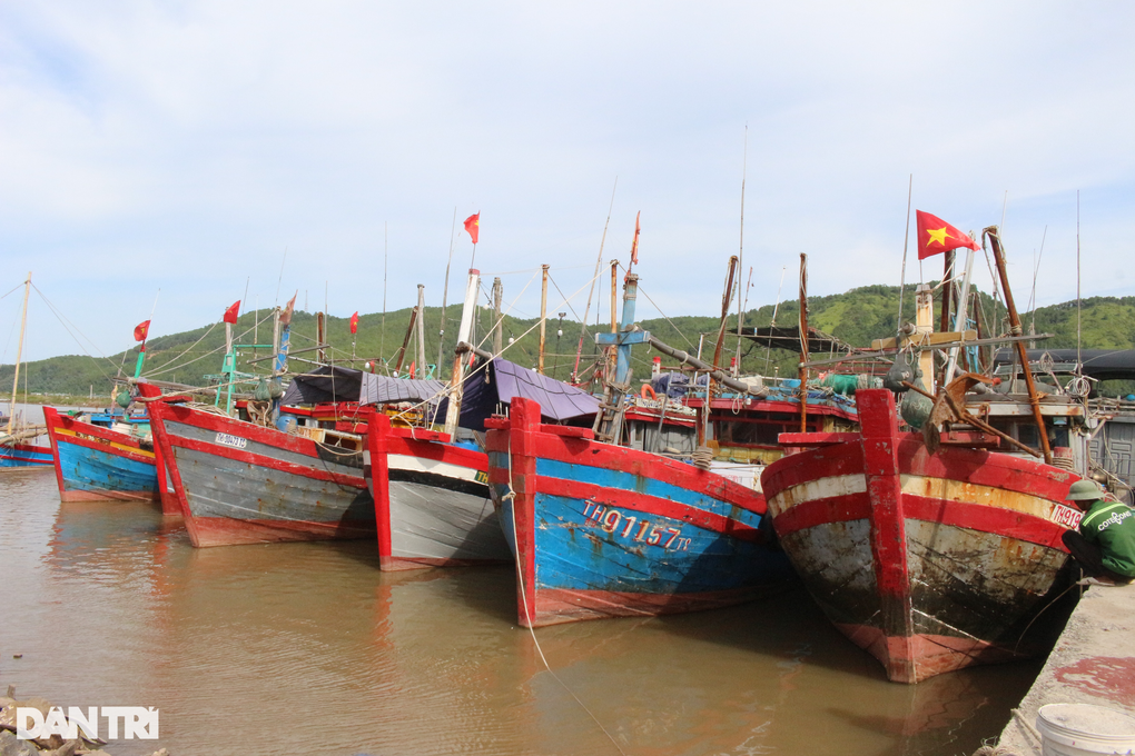 Khó khăn chồng chất, ngư dân mong sớm được tiếp sức - 1 Khó khăn chồng chất, ngư dân mong sớm được tiếp sức - 1