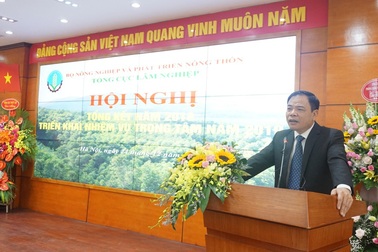 Bộ trưởng Nông nghiệp: Cần mạnh tay hơn nữa với nạn phá rừng!