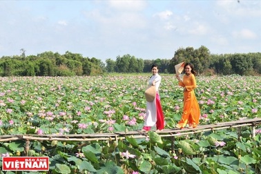 Đến Đồng Sen Gò Tháp thưởng thức hương vị và ẩm thực miệt vườn