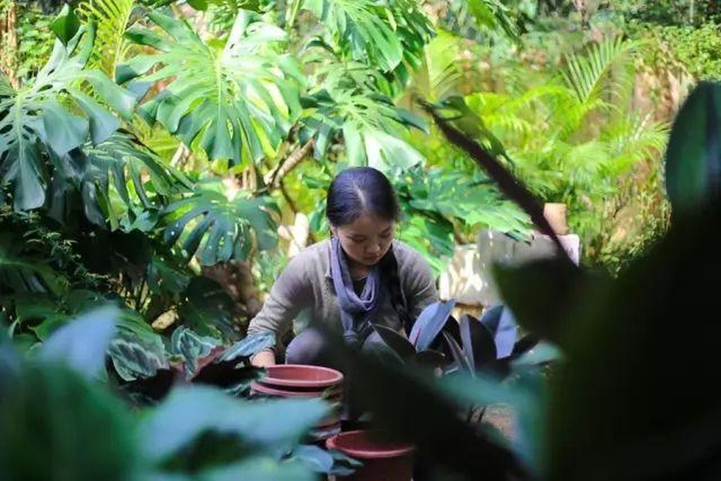 Vợ chồng thuê đất ở nơi như ốc đảo, sống ẩn dật giữa rừng cây - 8