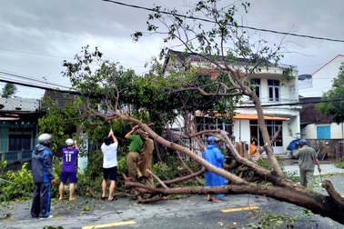 Hơn 4 giờ bão số 9 "quần thảo", Hội An và Tam Kỳ tan hoang
