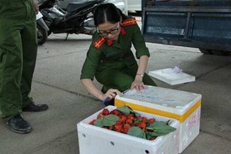 Bắt giữ hơn 8 tấn dâu tây không rõ nguồn gốc chuẩn bị tuồn vào Đà Lạt - 2 Bắt giữ hơn 8 tấn dâu tây không rõ nguồn gốc chuẩn bị tuồn vào Đà Lạt - 2