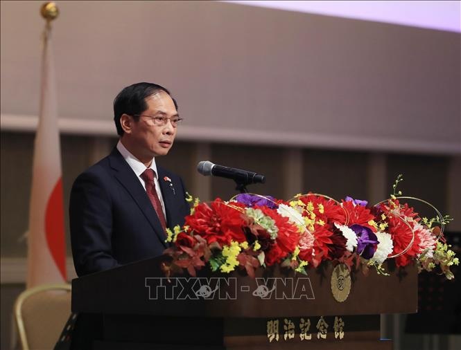 Chủ tịch nước dự lễ kỷ niệm 50 năm thiết lập quan hệ ngoại giao Việt Nam - Nhật Bản - 3