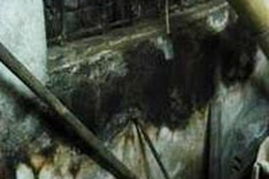 10 năm sống cùng ô nhiễm 