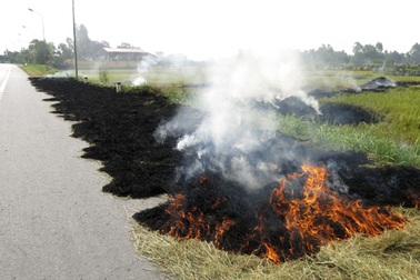 Rơm rạ lại...hun Hà Nội