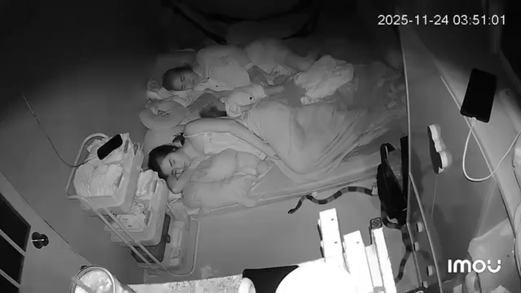 Rắn độc dài 2m bò vào sát đệm lúc rạng sáng, bà mẹ ở TPHCM xử lý gây sốt - 1