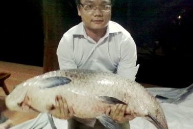 Săn được cá trắm đen khổng lồ sau hơn 2 năm nhử mồi
