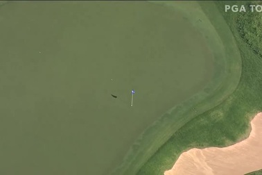 Harris English giành chức vô địch Sentry Tournament of Champions