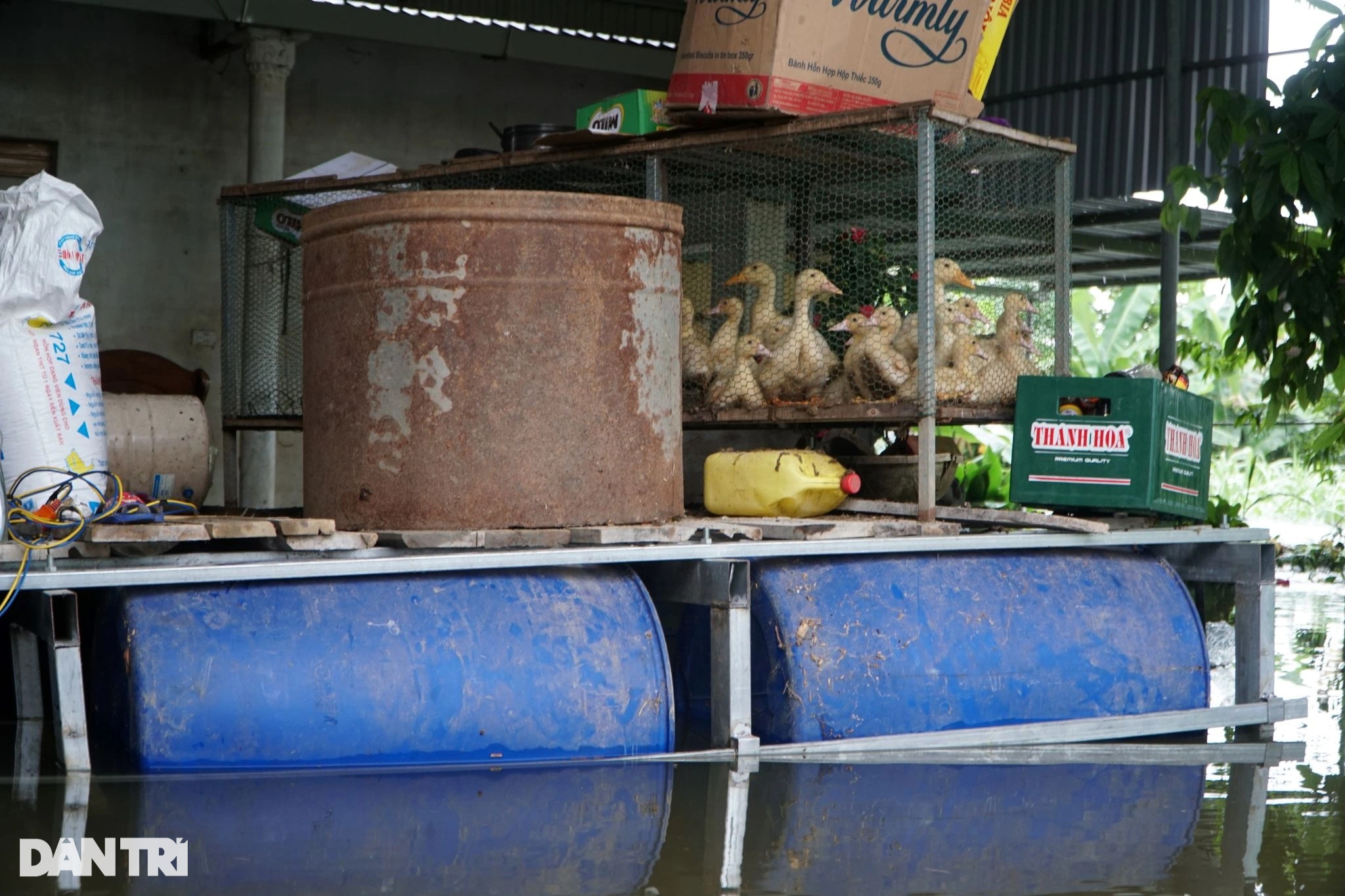 View - Làng cô lập trong nước lũ, dân dùng thuyền di chuyển, chế nhà phao chứa đồ | Báo Dân trí