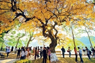 Những địa điểm vui chơi 2/9 hấp dẫn trong và ngoài Hà Nội