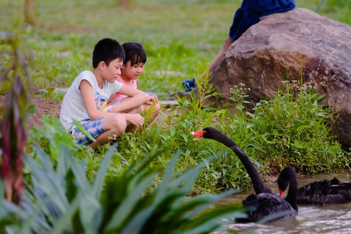 Trẻ con Ecopark có tuổi thơ của thời ông bà, cha mẹ - 8 Trẻ con Ecopark có tuổi thơ của thời ông bà, cha mẹ - 8