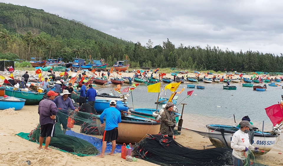 Độc đáo nghề săn tôm hùm giống hốt bạc triệu - 1 Độc đáo nghề săn tôm hùm giống hốt bạc triệu - 1