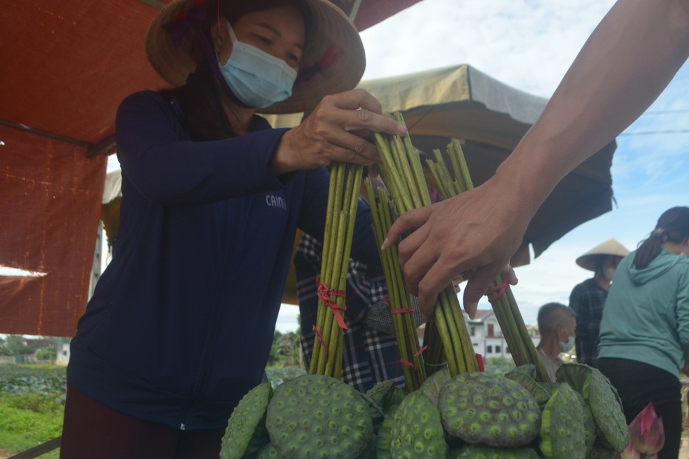 Biến đầm trũng thành mô hình kết hợp, thu hàng trăm triệu mỗi năm - 6 Biến đầm trũng thành mô hình kết hợp, thu hàng trăm triệu mỗi năm - 6