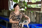 Nông dân Cần Thơ tiết lộ bí quyết nuôi cua đinh doanh thu 5 tỷ đồng/năm