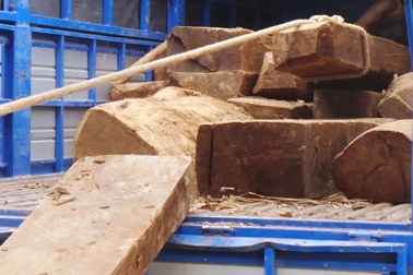 Xe tải chở đầy gỗ "lọt" qua nhiều trạm kiểm tra lâm sản