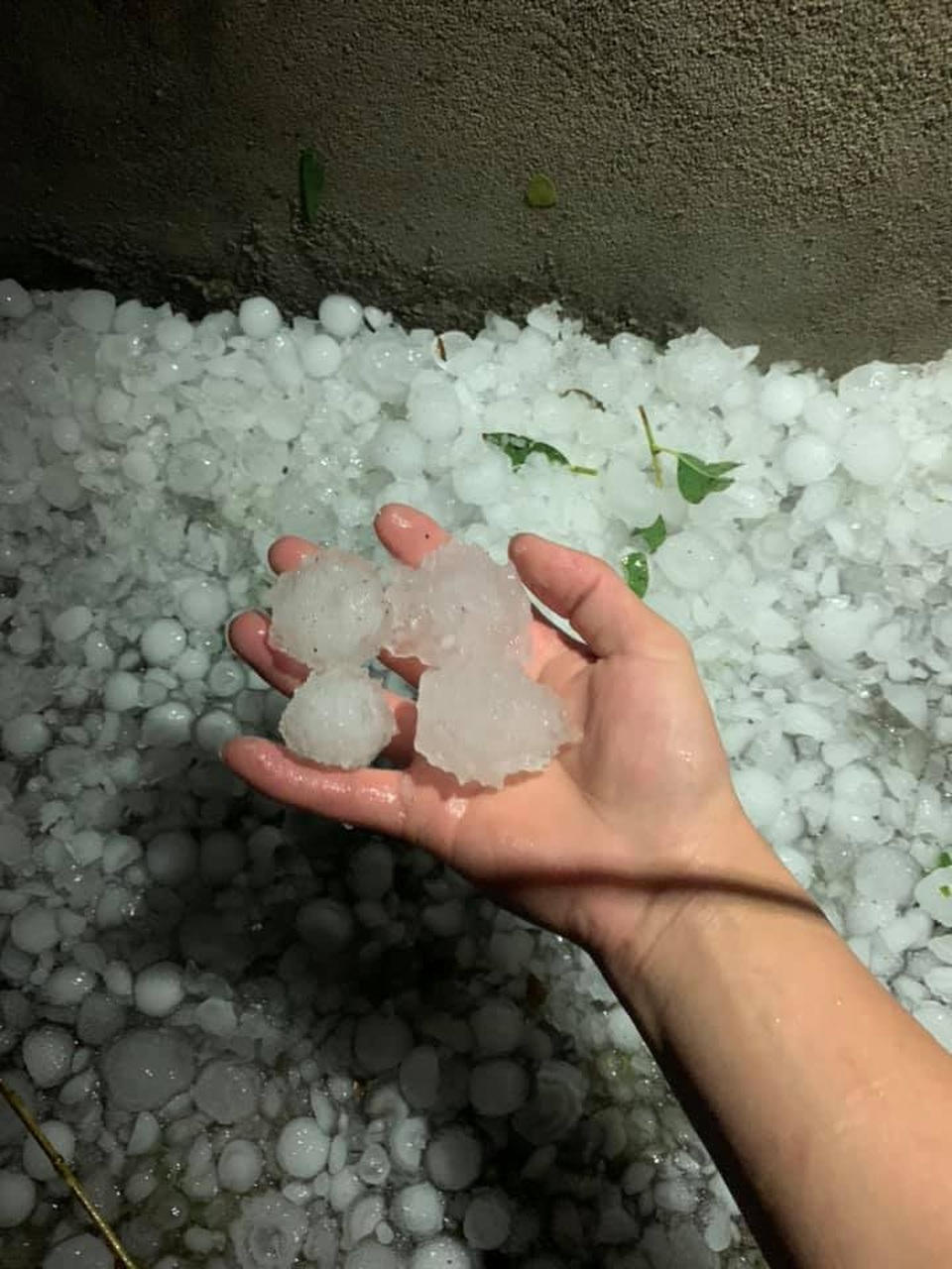 Hình ảnh mưa đá trắng xóa dội xuống Lào Cai - 1 Hình ảnh mưa đá trắng xóa dội xuống Lào Cai - 1