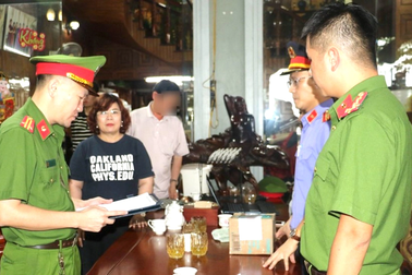 Nữ giám đốc bị bắt vì buôn lậu gỗ trắc