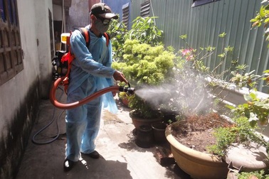 Đà Nẵng: Một bệnh nhân tử vong do nhiễm trùng huyết trên nền sốt xuất huyết