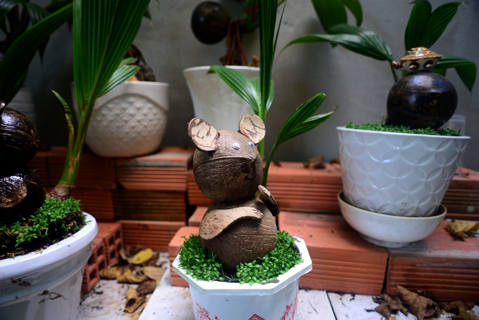 Bonsai hình chuột.jpg Bonsai hình chuột.jpg
