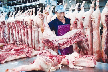 Hàng tết không thiếu, chỉ sợ bắt tay làm giá