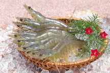 "Vua tôm" Minh Phú có quý lỗ đầu tiên sau 7 năm