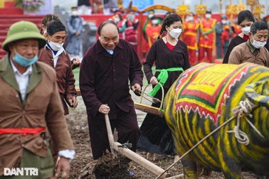 Chủ tịch nước lội ruộng, dắt trâu đi cày đầu năm ở lễ hội Tịch điền