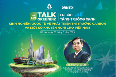 Phát triển thị trường carbon: Kinh nghiệm quốc tế và gợi ý cho Việt Nam