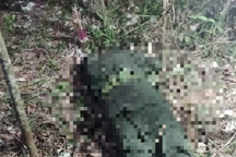 Chiến sĩ nghĩa vụ tử vong sau 10 ngày nhập ngũ