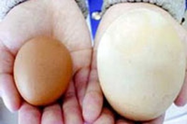 Lại một trường hợp trứng trong trứng