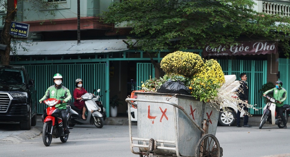 Đào Tết, quất cảnh phơi mình héo úa sau dịp Tết - 8 Đào Tết, quất cảnh phơi mình héo úa sau dịp Tết - 8