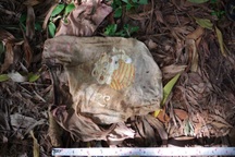 Vụ phát hiện xương người ở Đắk Nông: Truy tìm tung tích nạn nhân