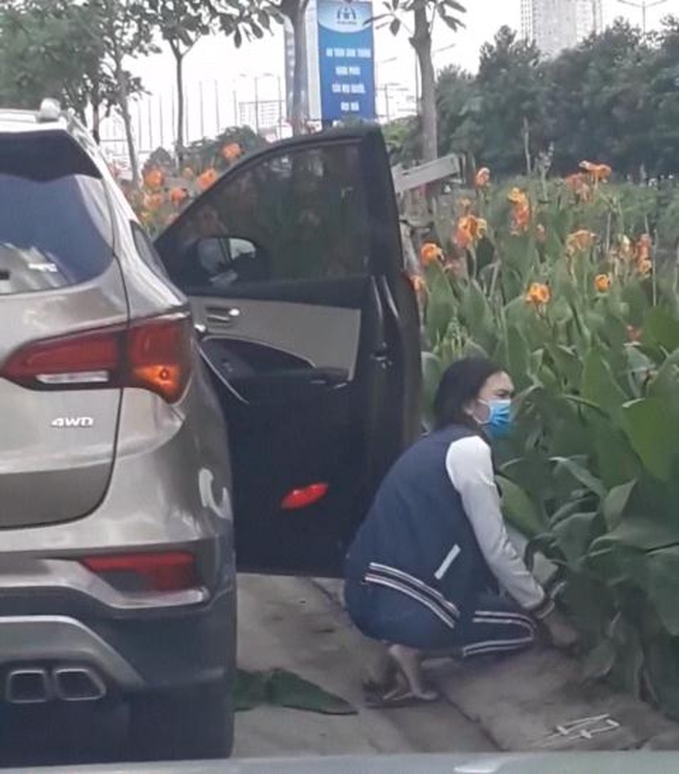 Nhổ trộm hoa nơi công cộng có thể dính án tù! - 1 Nhổ trộm hoa nơi công cộng có thể dính án tù! - 1