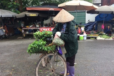 Hà Nội: Giá thịt lợn giảm, rau xanh tăng “chóng mặt” vì mưa