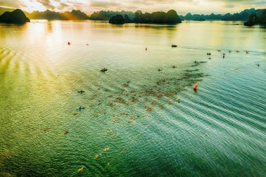 Aqua Warriors Vân Đồn 2025: Hơn 1.500 vận động viên đăng ký vé siêu sớm Super Early Bird