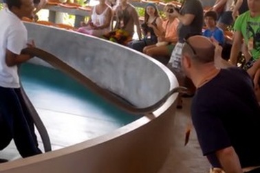 Khoảnh khắc rắn độc suýt cắn trúng khán giả trong chương trình biểu diễn