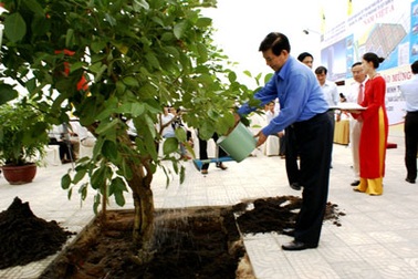 Chủ tịch nước Nguyễn Minh Triết thăm và làm việc tại Đà Nẵng 