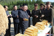 Trung Quốc hé lộ khủng hoảng lương thực tại Triều Tiên