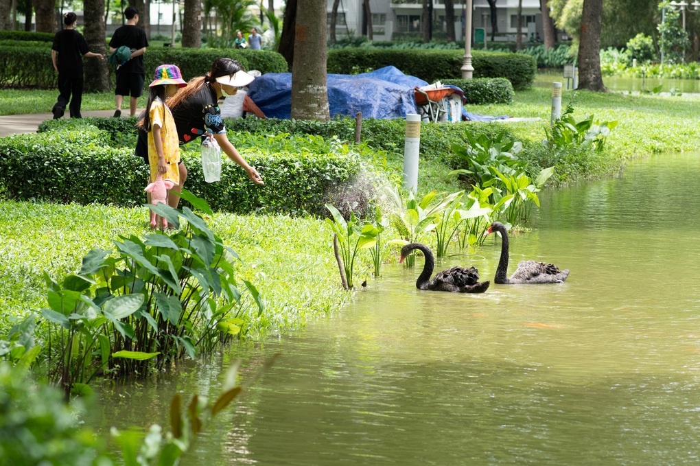 Sống chất lượng tại khu đô thị phát triển đa dạng sinh học - 1 Sống chất lượng tại khu đô thị phát triển đa dạng sinh học - 1