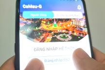 Cà Mau sẽ đánh giá kiến thức chuyển đổi số của lãnh đạo các sở, huyện